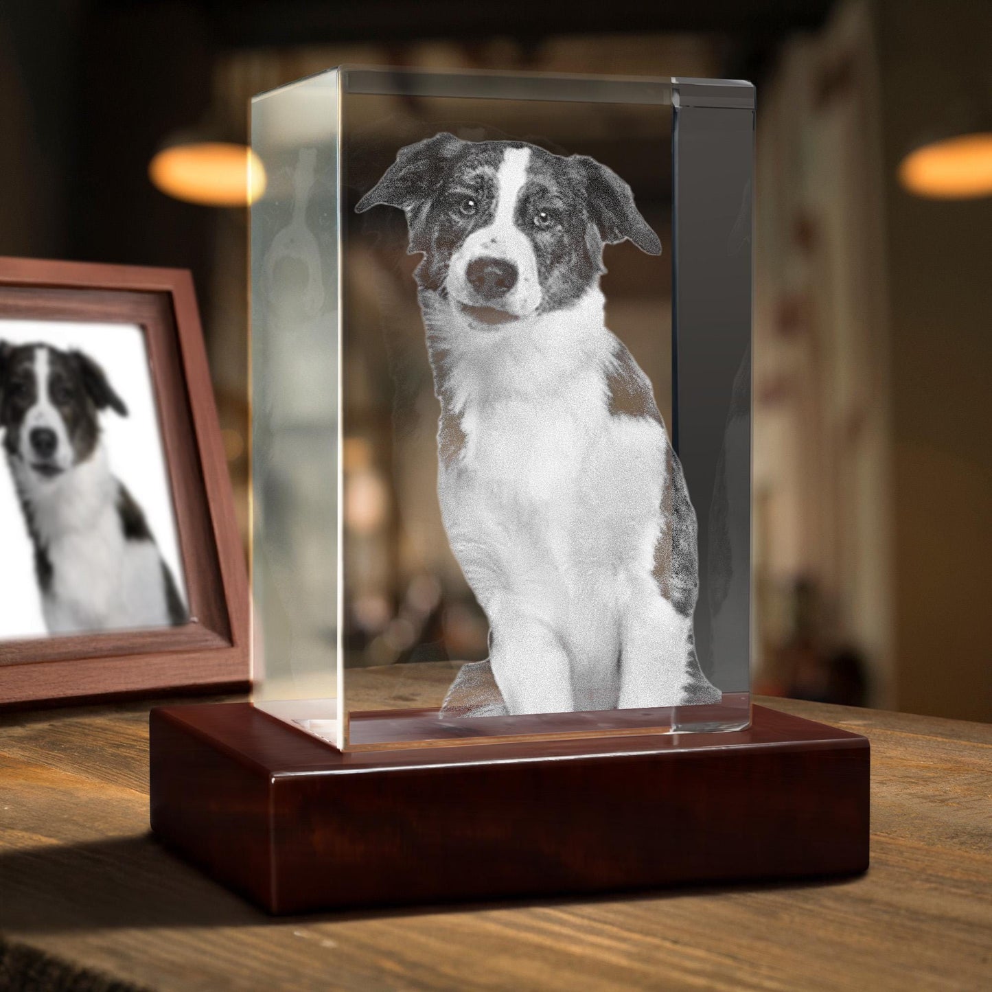 Custom Pet Memorial Crystal, Laser Etched Photo Night Light, Pet Loss Sympathy Gift